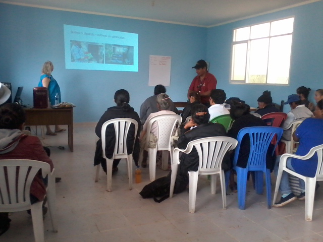 Taller con Medicos Tradiciones Santa Rosa, Huacaya